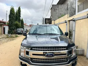 Ford F-150 2019 Gris