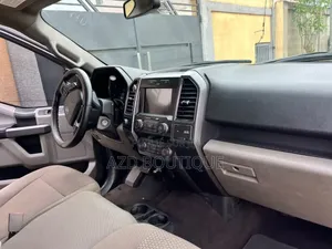 Ford F-150 2019 Gris