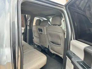 Ford F-150 2019 Gris