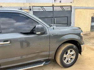 Ford F-150 2019 Gris