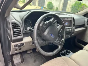 Ford F-150 2019 Gris