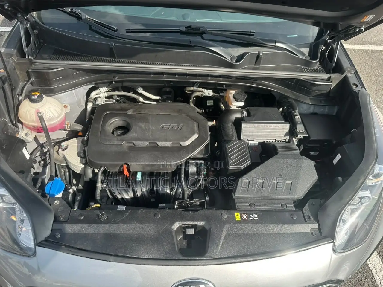 Kia Sportage EX 2022 Gris