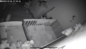 Camera Xiaomi Aimant