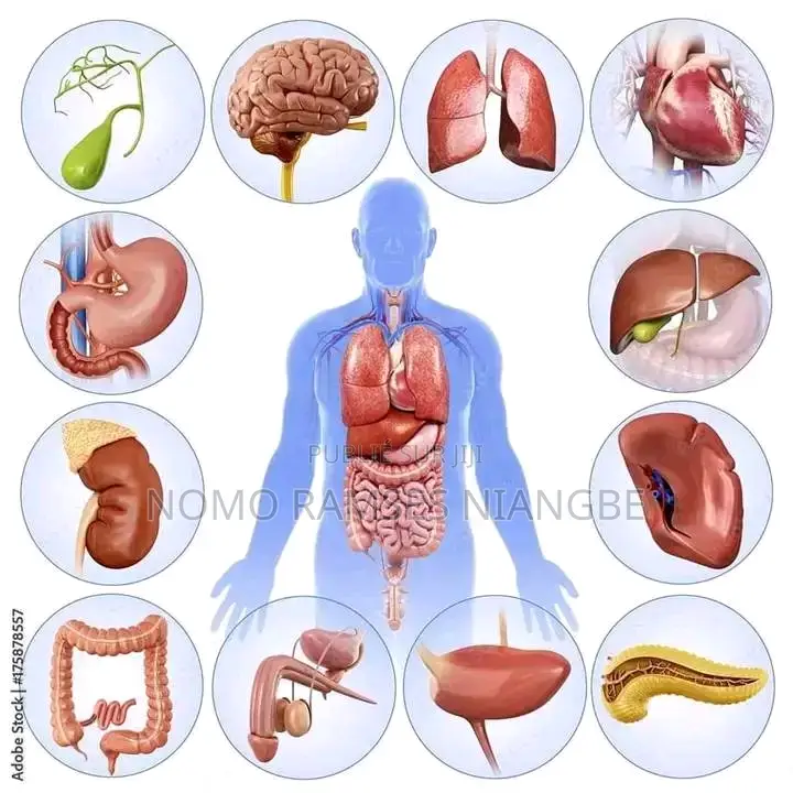 ROCENTA Est Un Produit Qui Soigne Toutes Types De Maladies