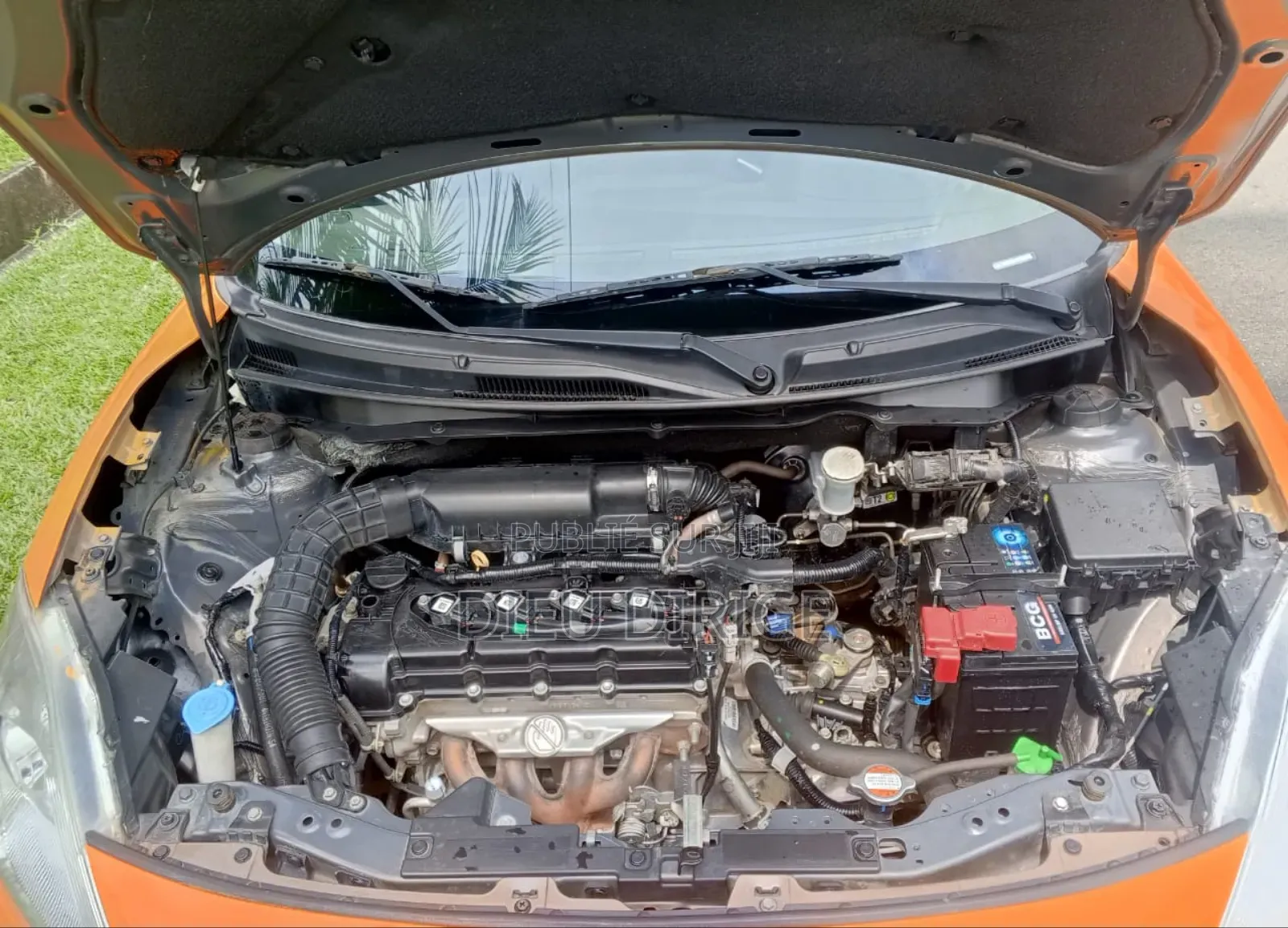 New Suzuki Dzire 2024 Orange