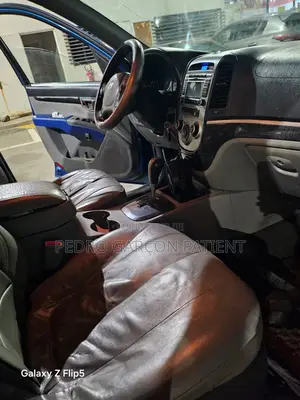 Hyundai Santa Fe 2008 Bleu