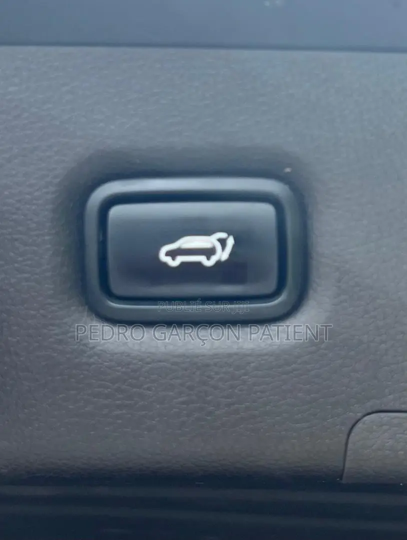 Hyundai Santa Fe 2020 Gris