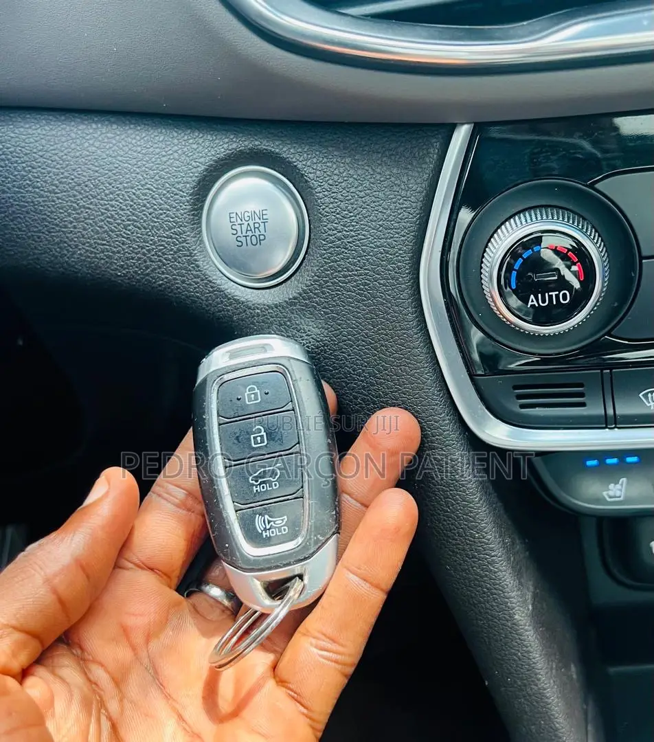 Hyundai Santa Fe 2020 Gris