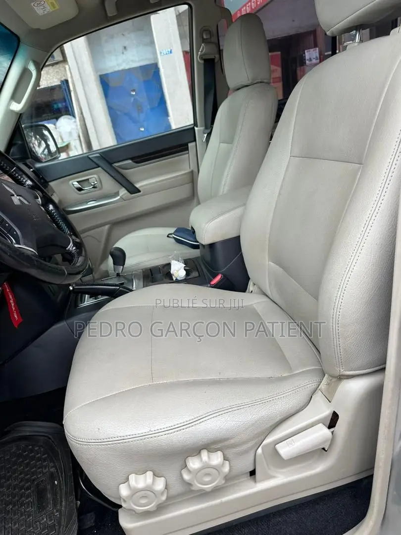 Mitsubishi Pajero 2018 Gris