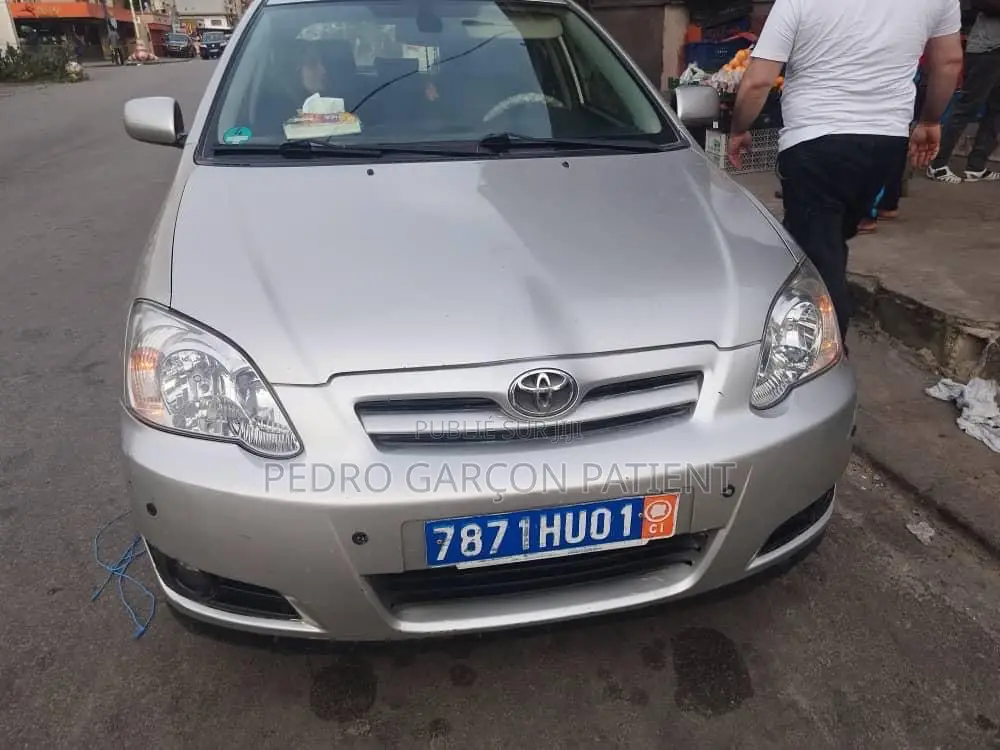 Toyota Corolla 2004 Gris
