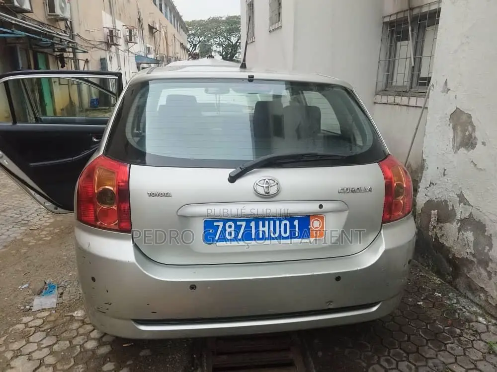 Toyota Corolla 2004 Gris
