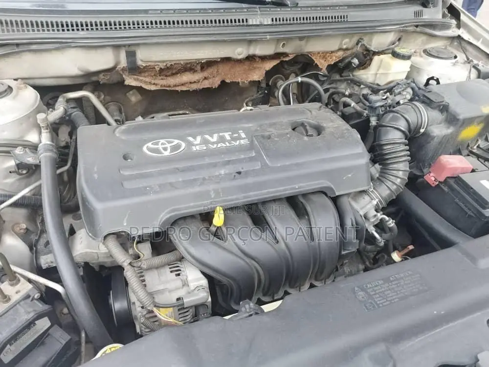 Toyota Corolla 2004 Gris