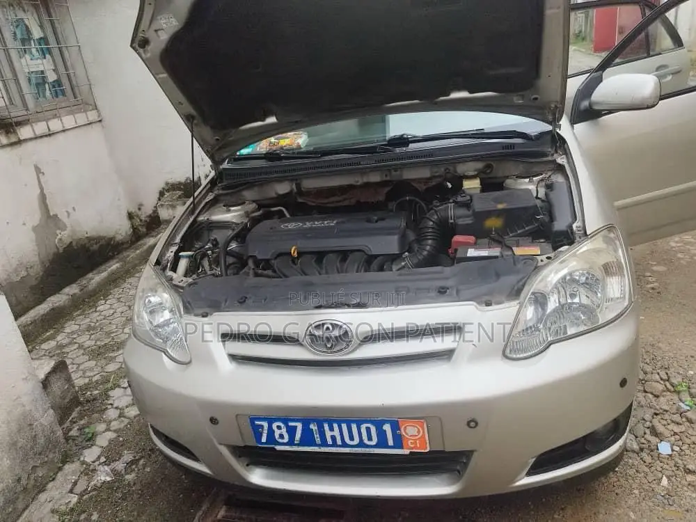 Toyota Corolla 2004 Gris