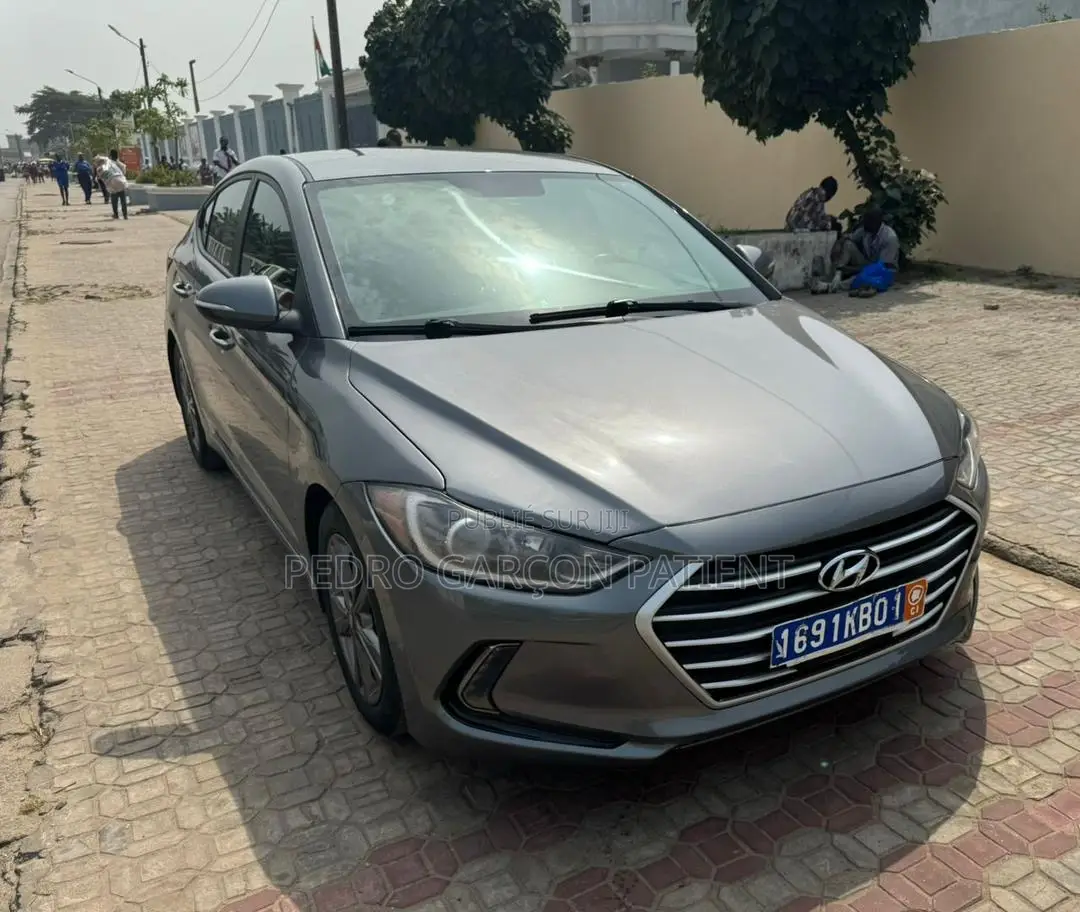 Hyundai Elantra 2018 Gris