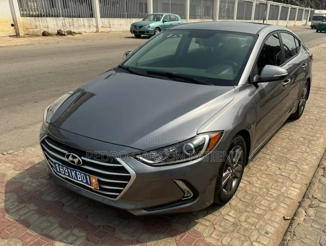 Hyundai Elantra 2018 Gris