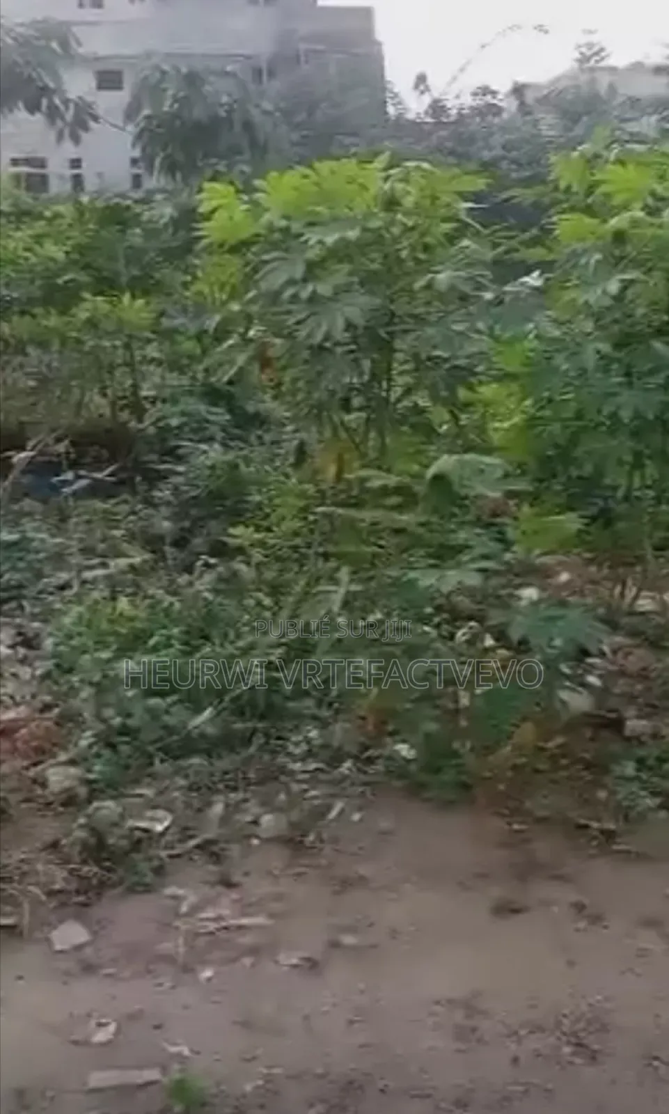 Terrain en Vente Abobo Dokui Adama Sanogo 600m2