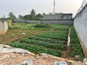 Photo - Terrain 920m2
