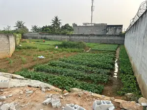 Terrain 920m2