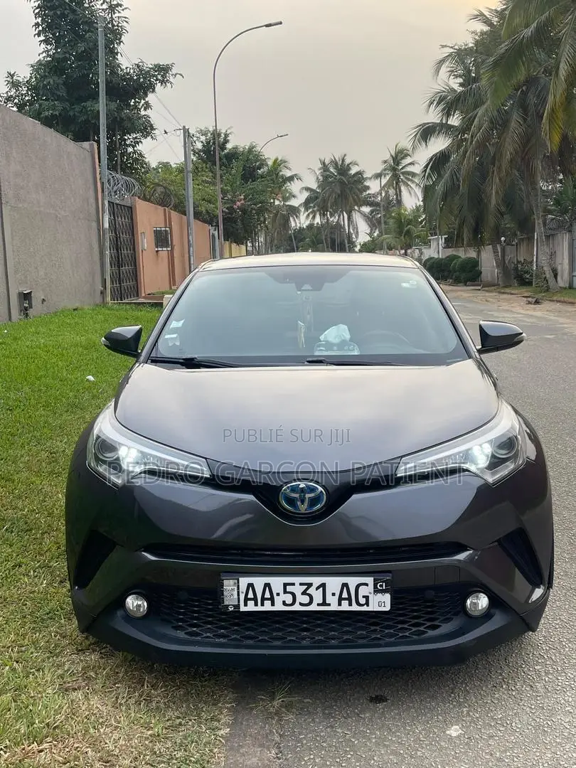 Toyota C-HR 2018 Gris