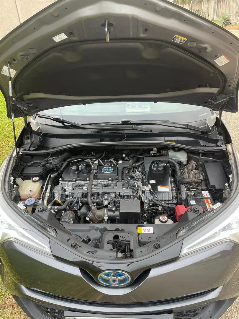 Toyota C-HR 2018 Gris