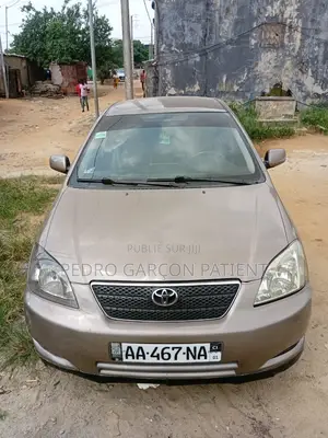 Toyota Corolla 2009 Gris