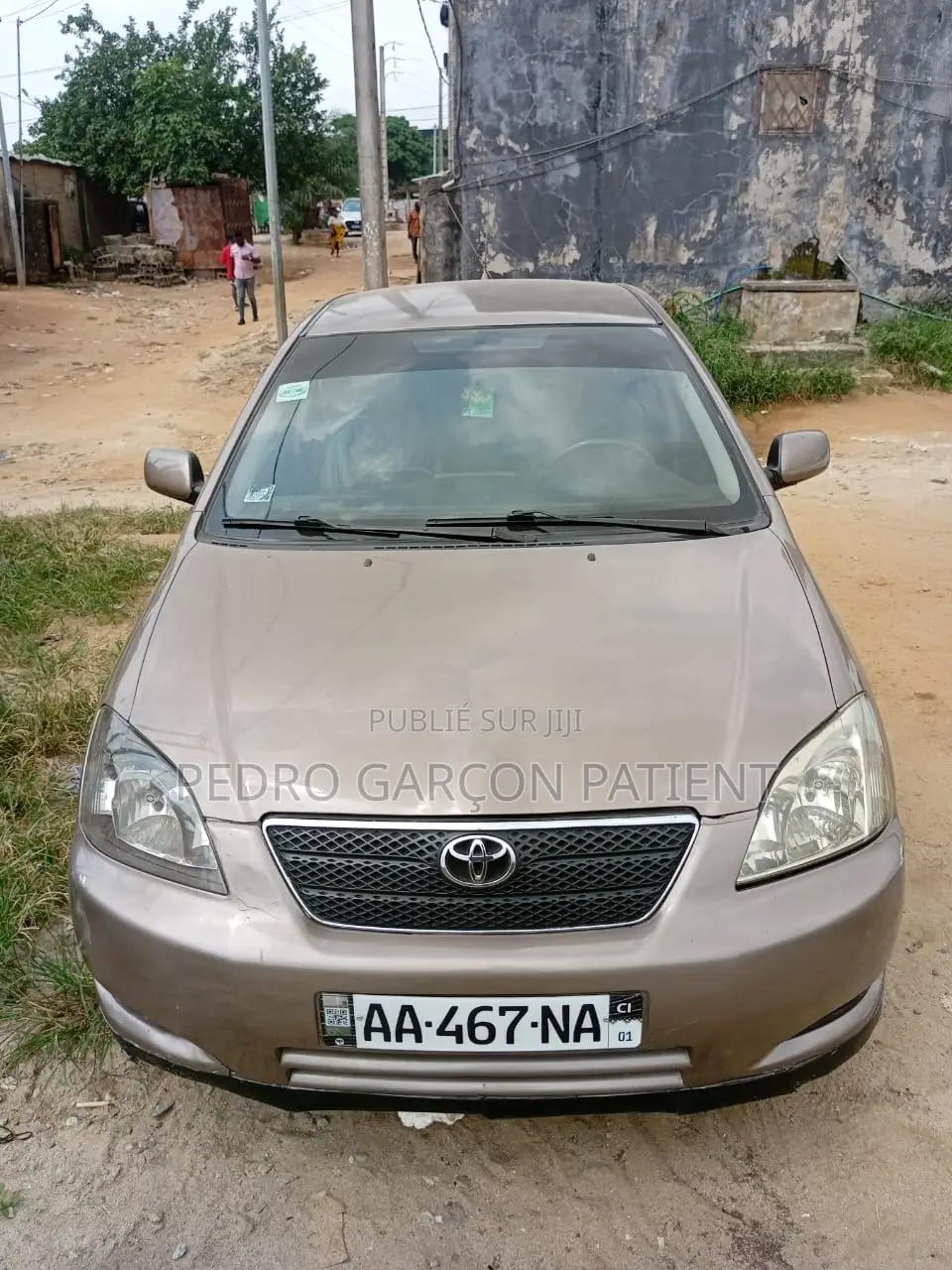 Toyota Corolla 2009 Gris