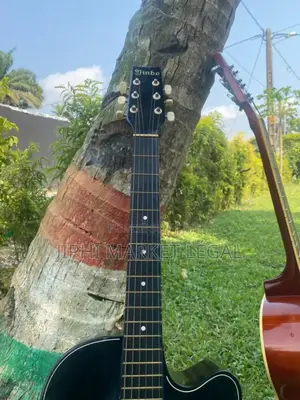 Photo - Guitare Acoustique,Guitare Sèche