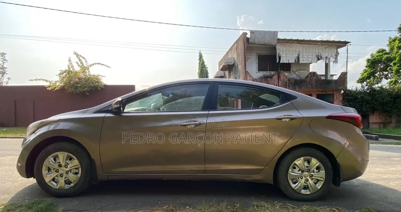 Hyundai Elantra 2015 Gris