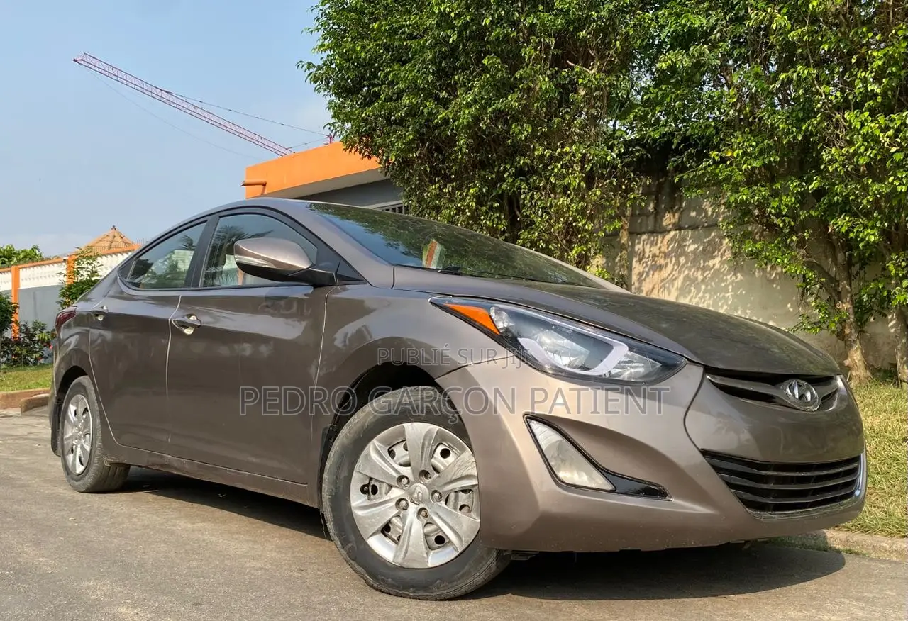 Hyundai Elantra 2015 Gris