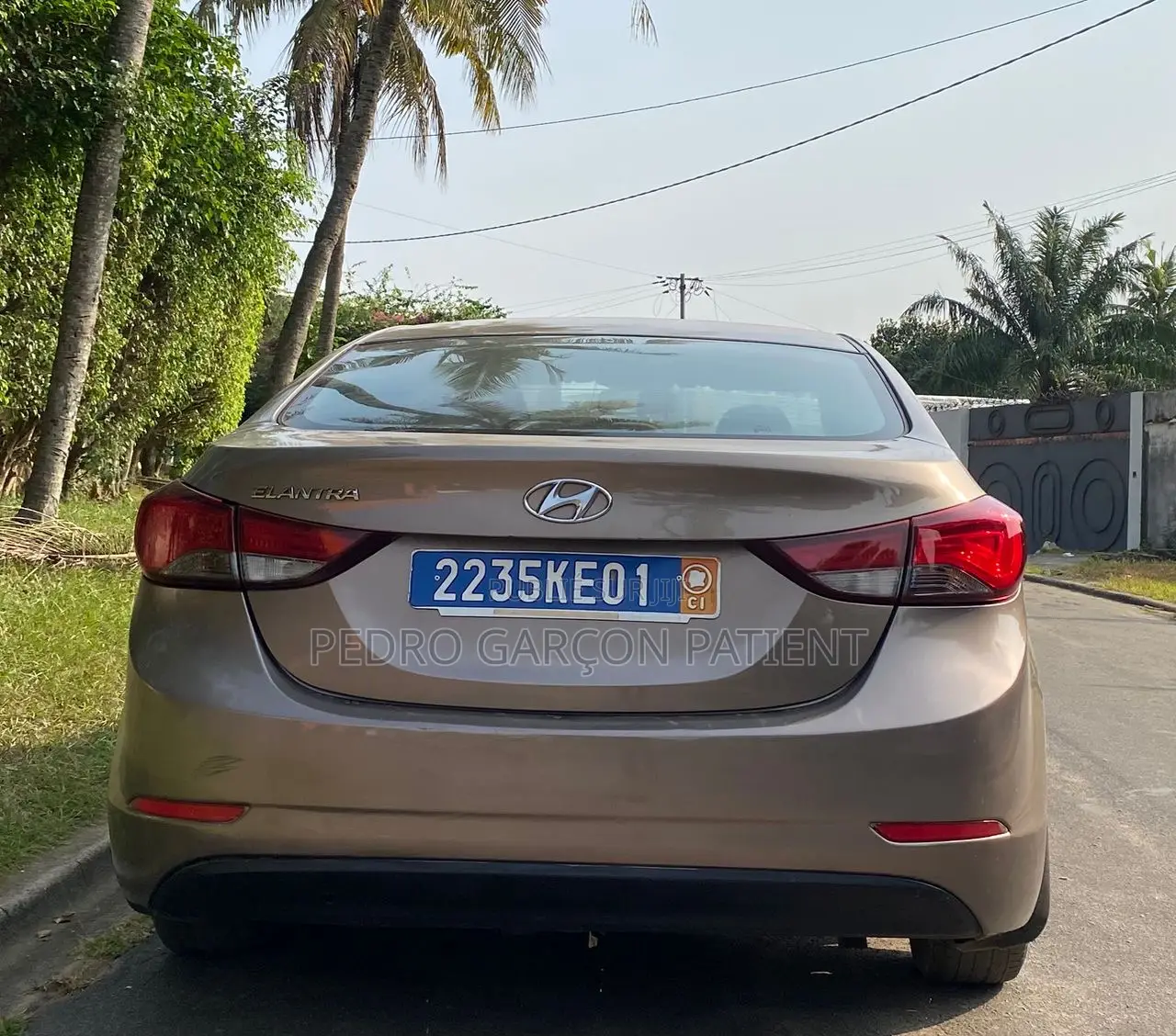 Hyundai Elantra 2015 Gris