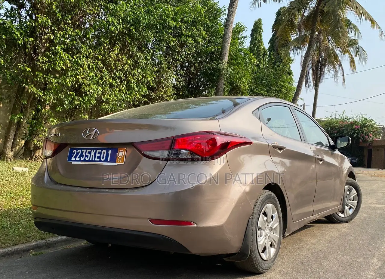 Hyundai Elantra 2015 Gris