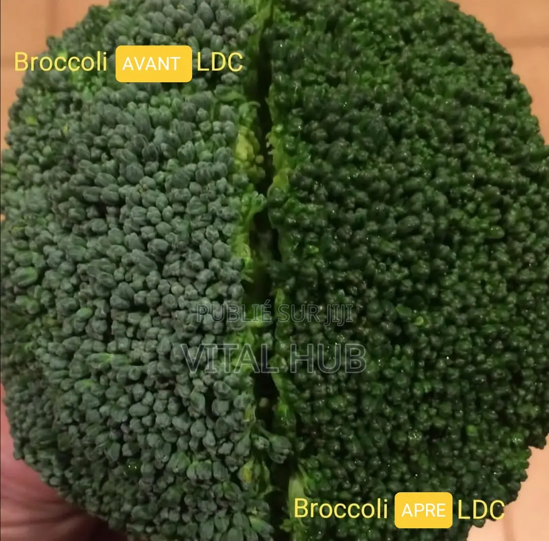 LDC (Concentré Pour Travaux Légers)