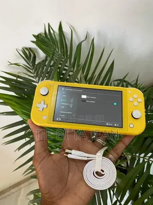 Photo - Nintendo Switch Lite Craqué