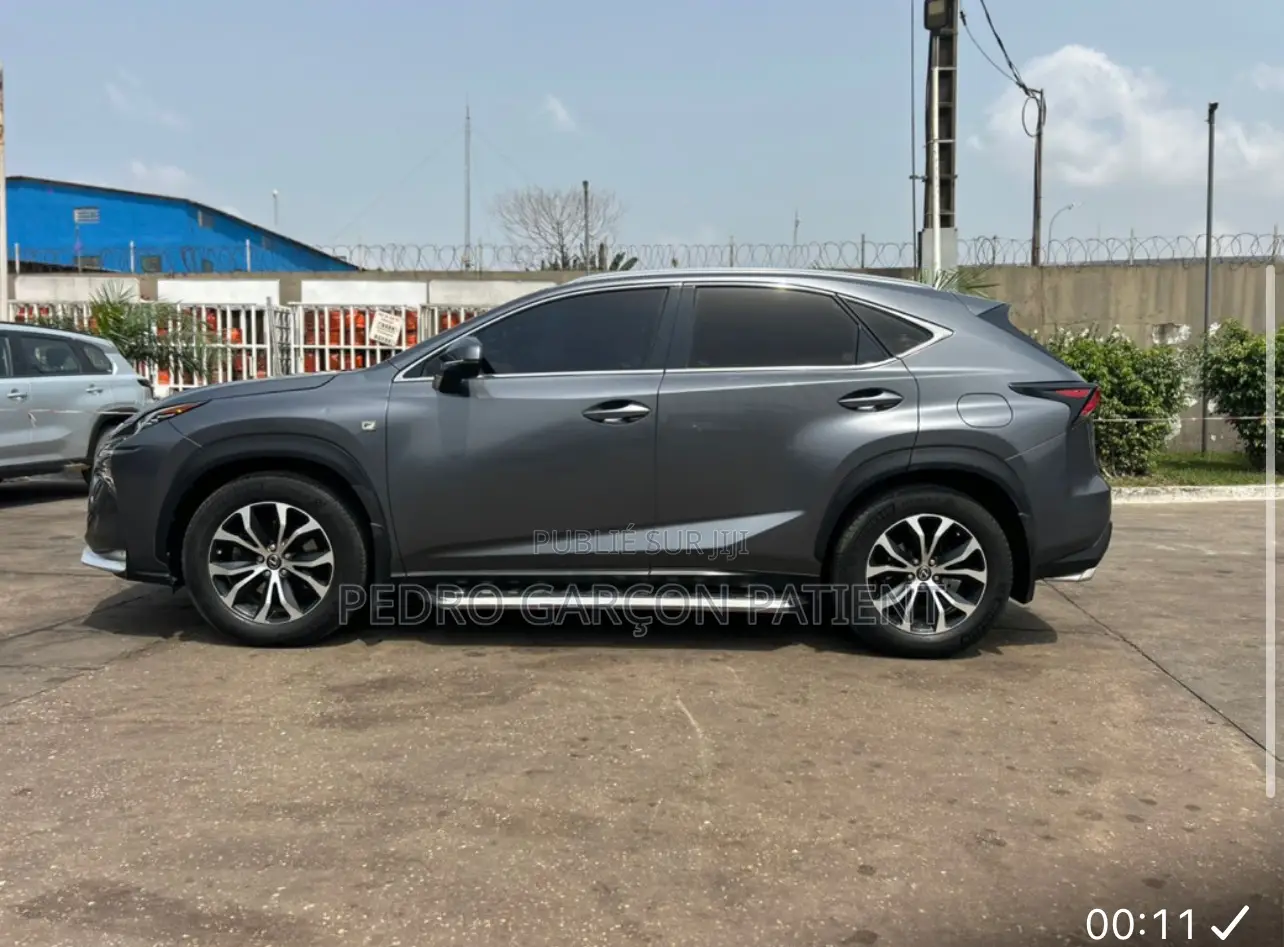 Lexus NX 2018 Gris