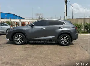 Lexus NX 2018 Gris