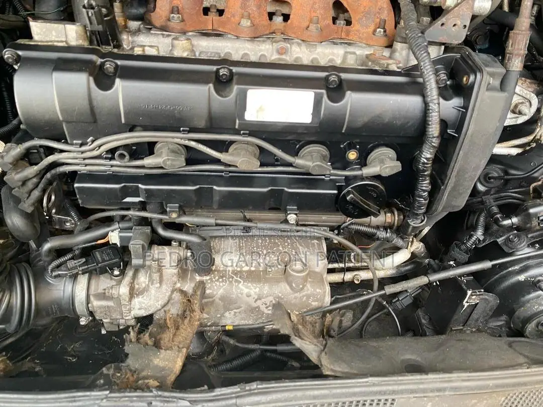 Kia Sportage 2007 Gris