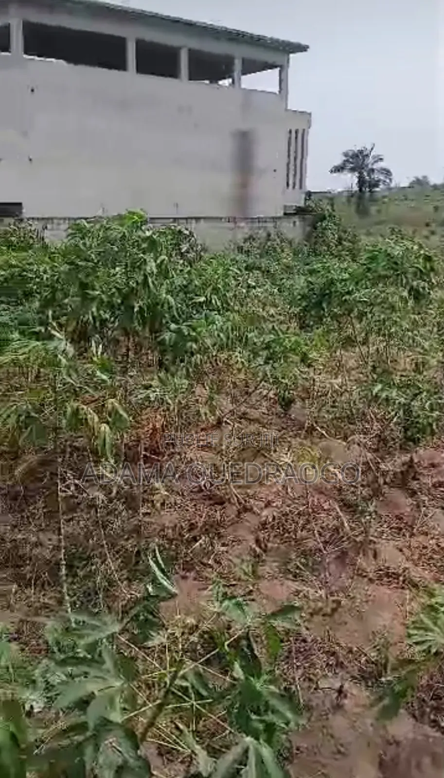 En Vente Un Terrain De 464m2 À Bingerville ANA Avec ACD