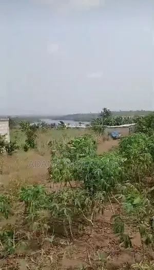 En Vente Un Terrain De 464m2 À Bingerville ANA Avec ACD