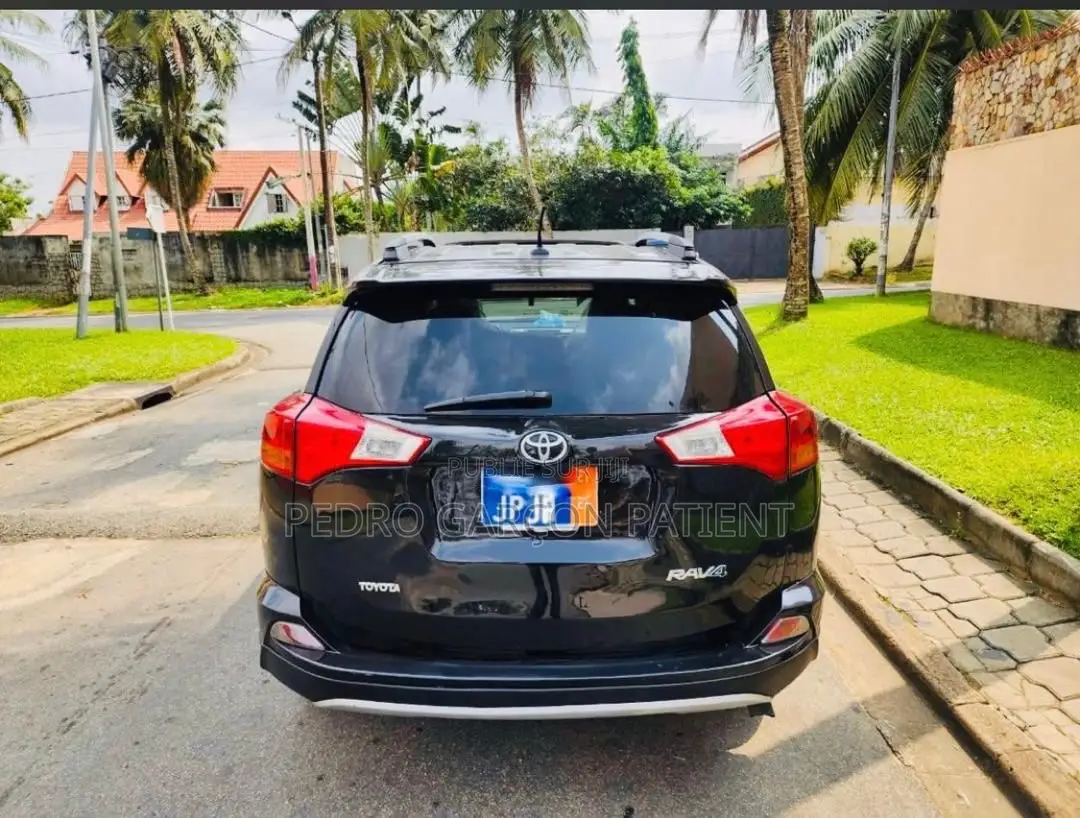 Toyota RAV4 2015 Noir