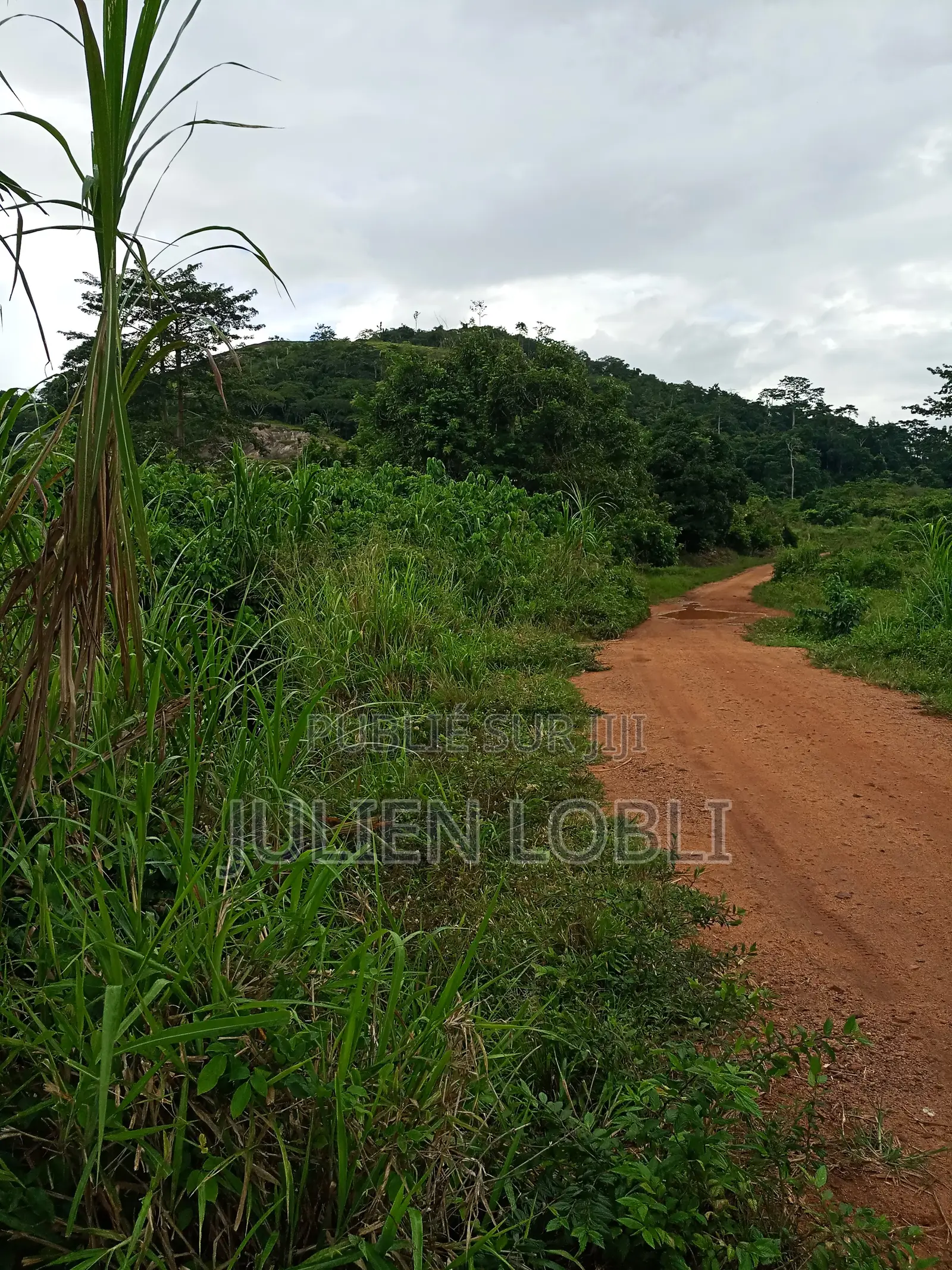 Terrains Avec Acd À Vendre À Yamoussoukro