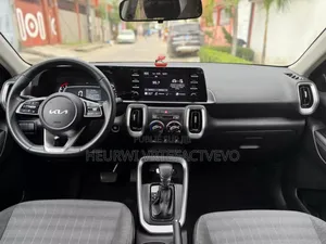 New Kia Sedona 2023 Gris