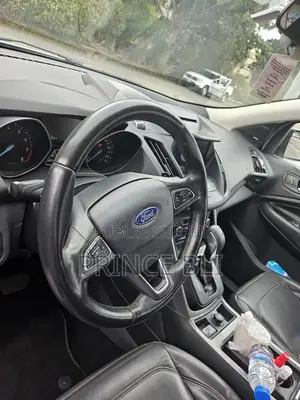 Ford Escape 2019 Gris