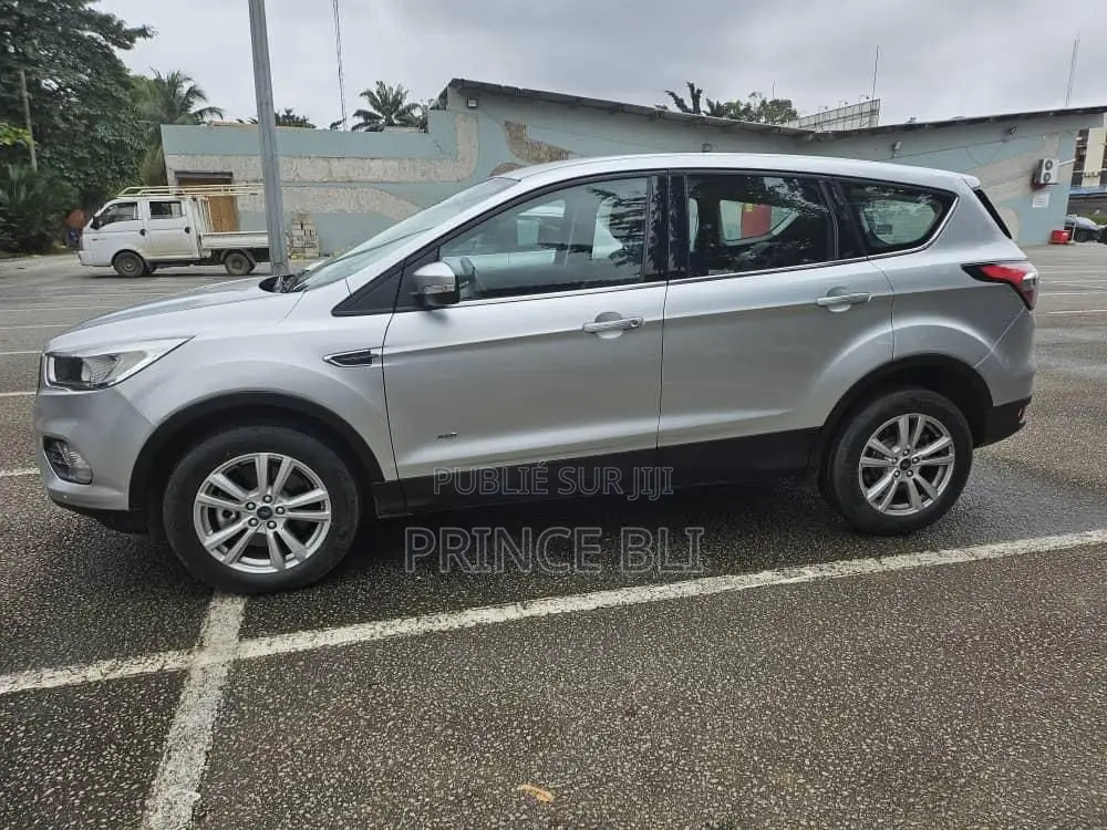 Ford Escape 2019 Gris