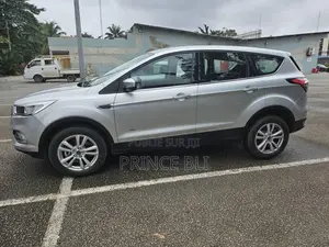 Ford Escape 2019 Gris