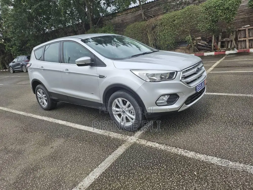 Ford Escape 2019 Gris