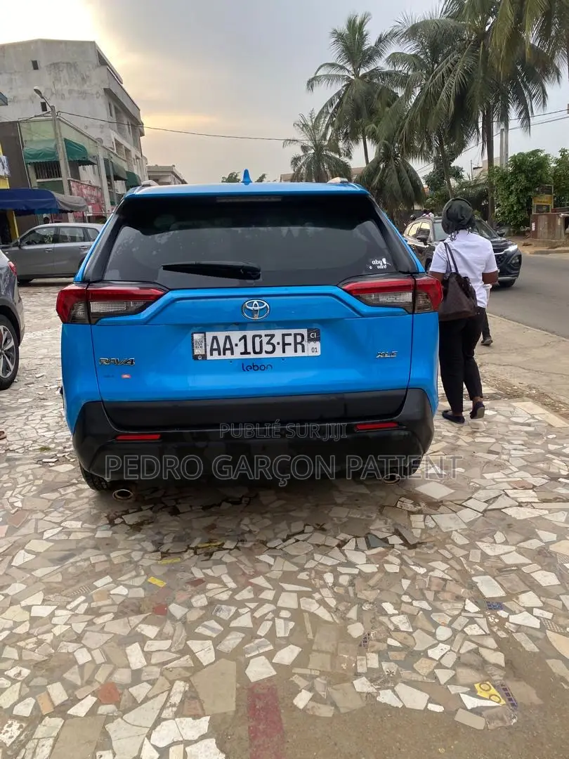 Toyota RAV4 2020 Bleu