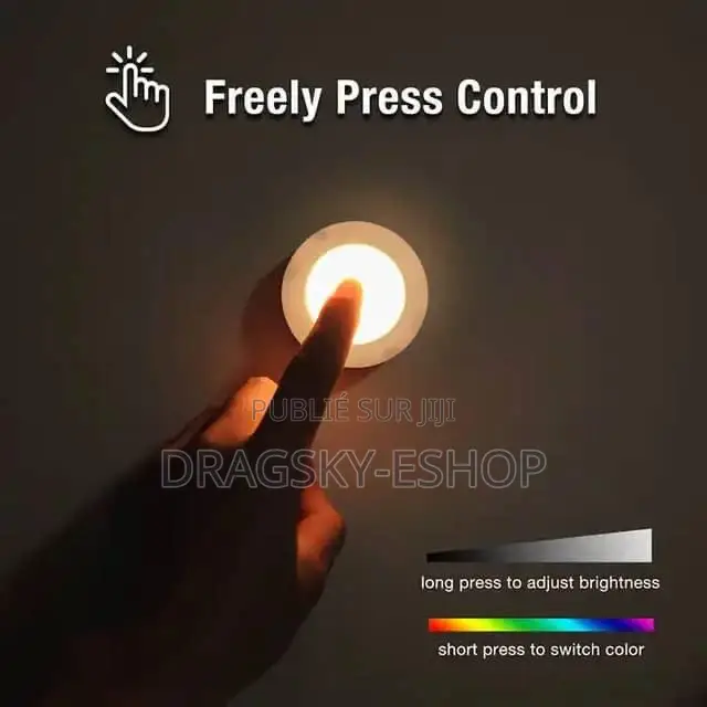 * Lumières Led Multicolores Avec Télécommande *