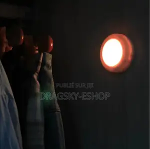 * Lumières Led Multicolores Avec Télécommande *