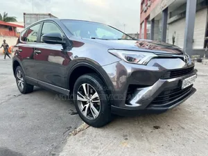 Toyota RAV4 2018 Gris