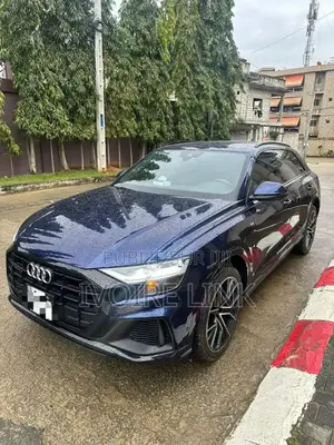 Audi Q8 3.0T Premium AWD quattro 2019 Bleu